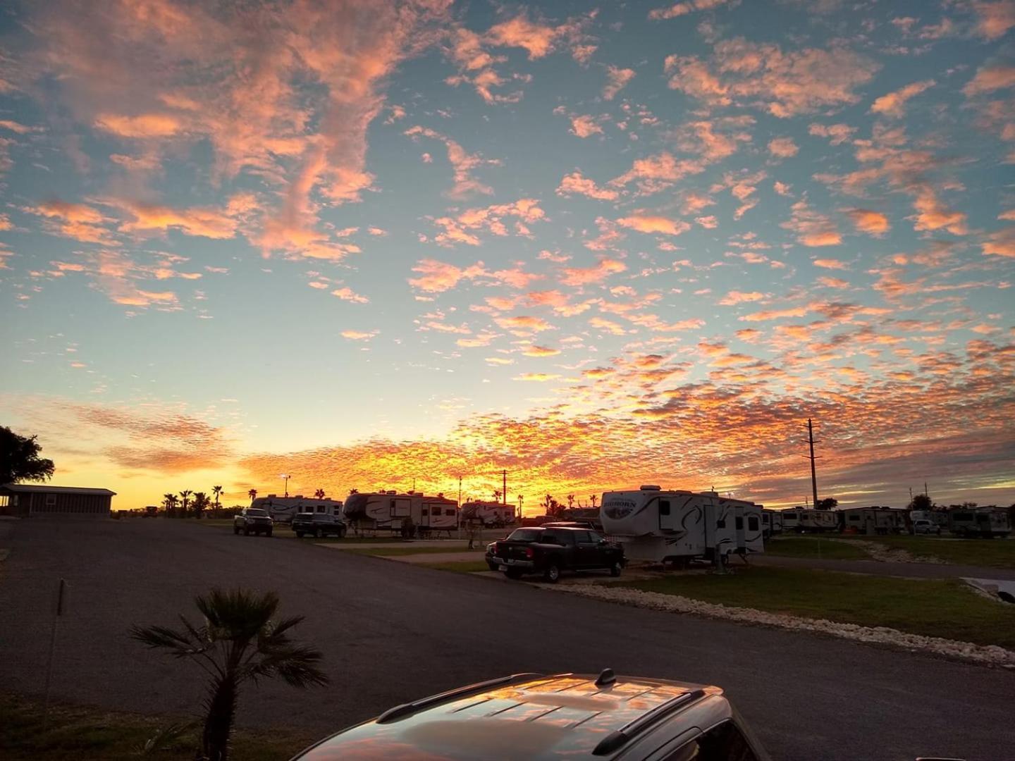 Rivercity Rv Park Нью Браунфелс Экстерьер фото